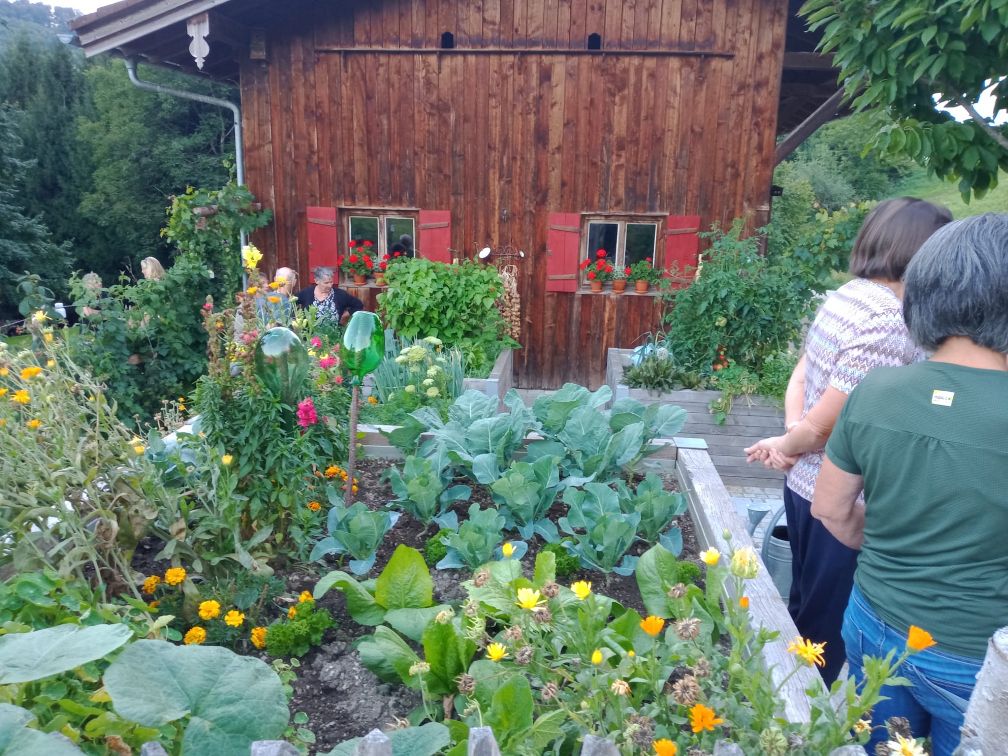 Gartenratsch